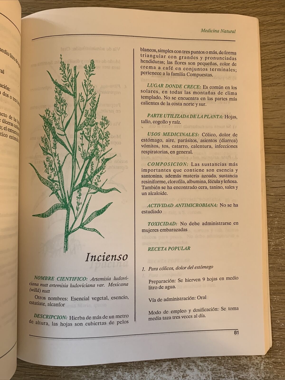 Plantas de uso Medicinal en centro America. Piante medicinali de centro America