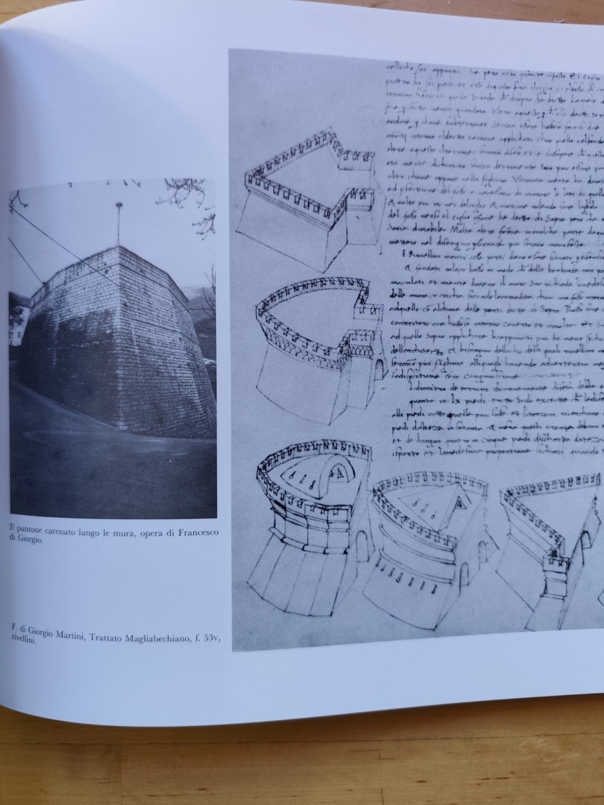 CASTELLI CASTELLOLOGIA storia dell'architettura Rocche e fortificazioni Urbino