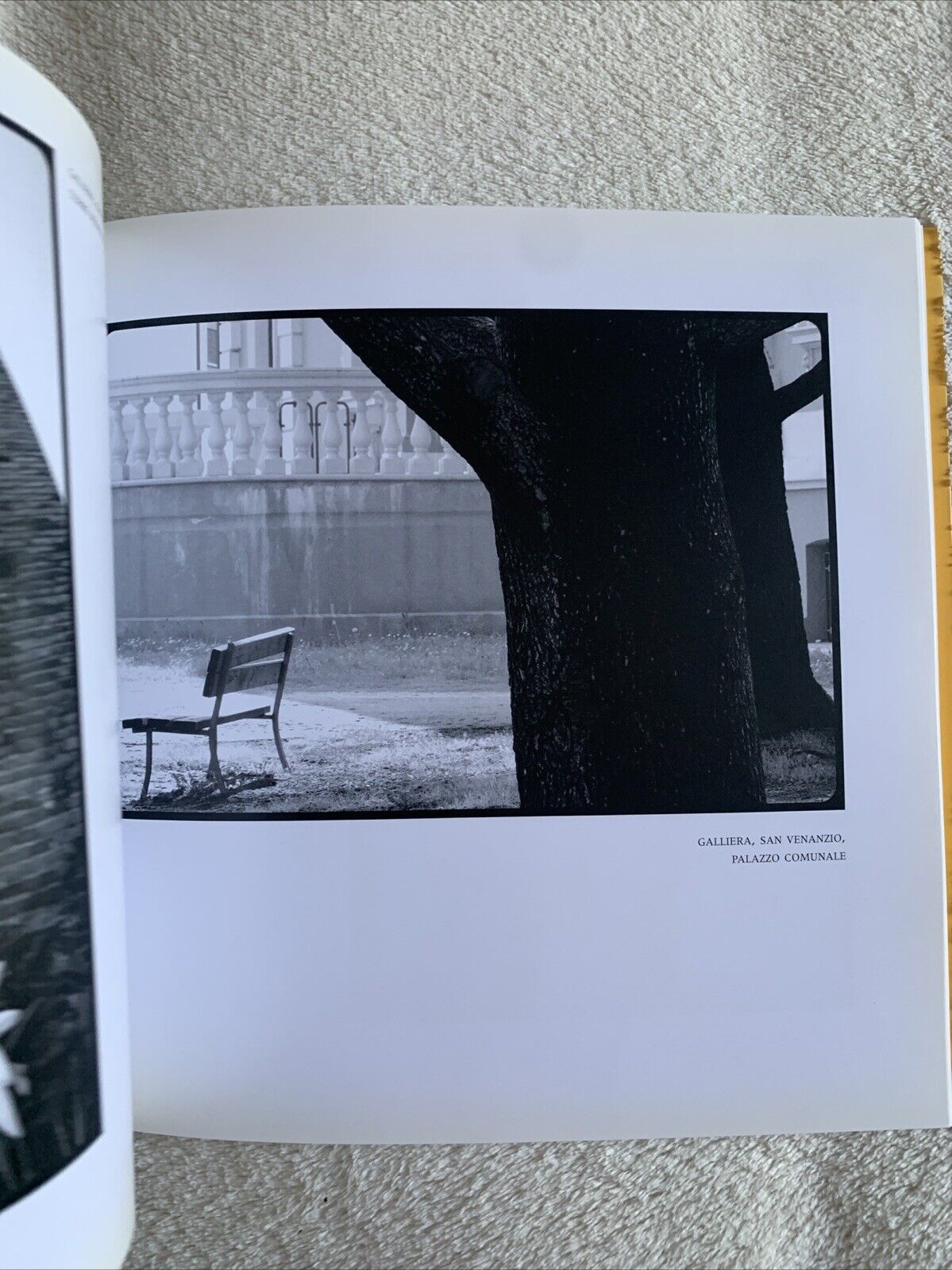 Note e silenzi in Pianura Argelato Bentivoglio Castello D'Argile Castel Maggiore