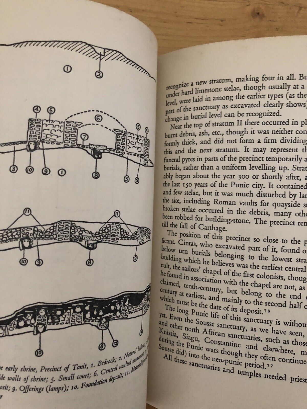 THE PHOENICIANS - DONALD HARDEN, Thames and Hudson 1963