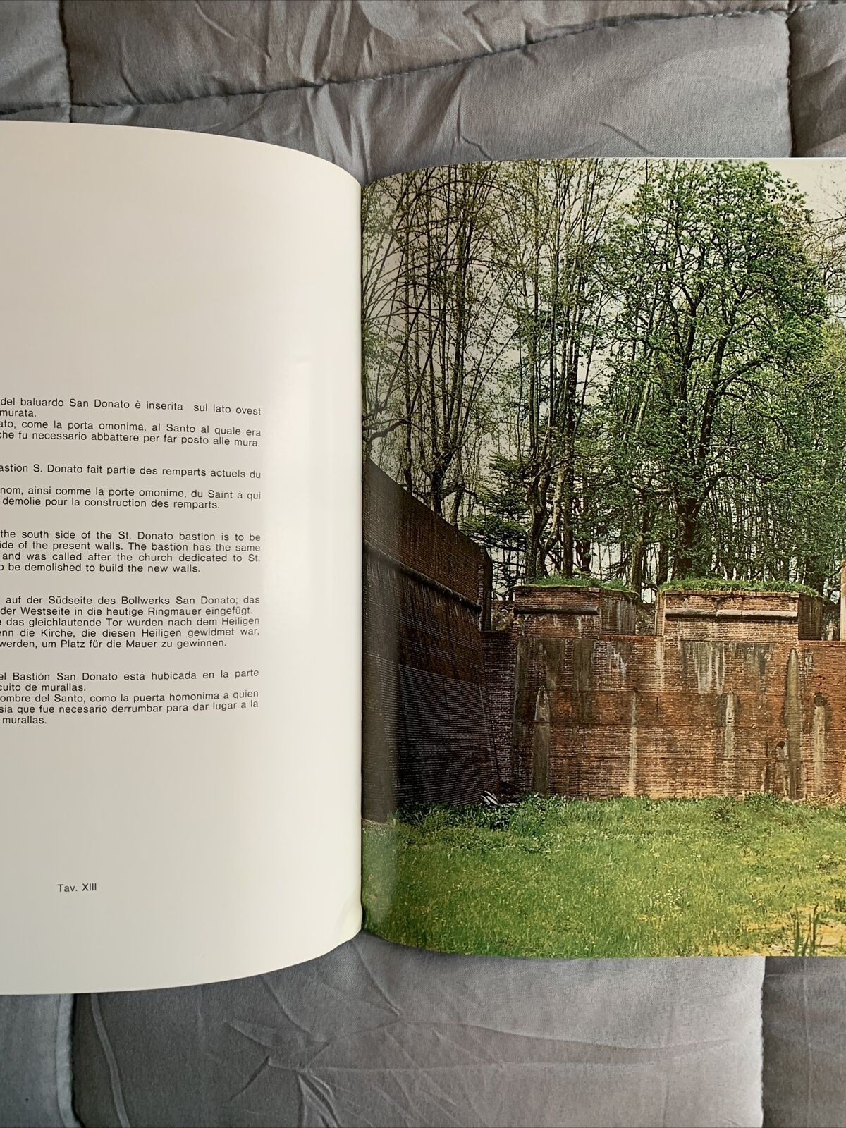 LUCCA NELLE IMMAGINI - centro internazionale per lo studio delle cerchia urbane