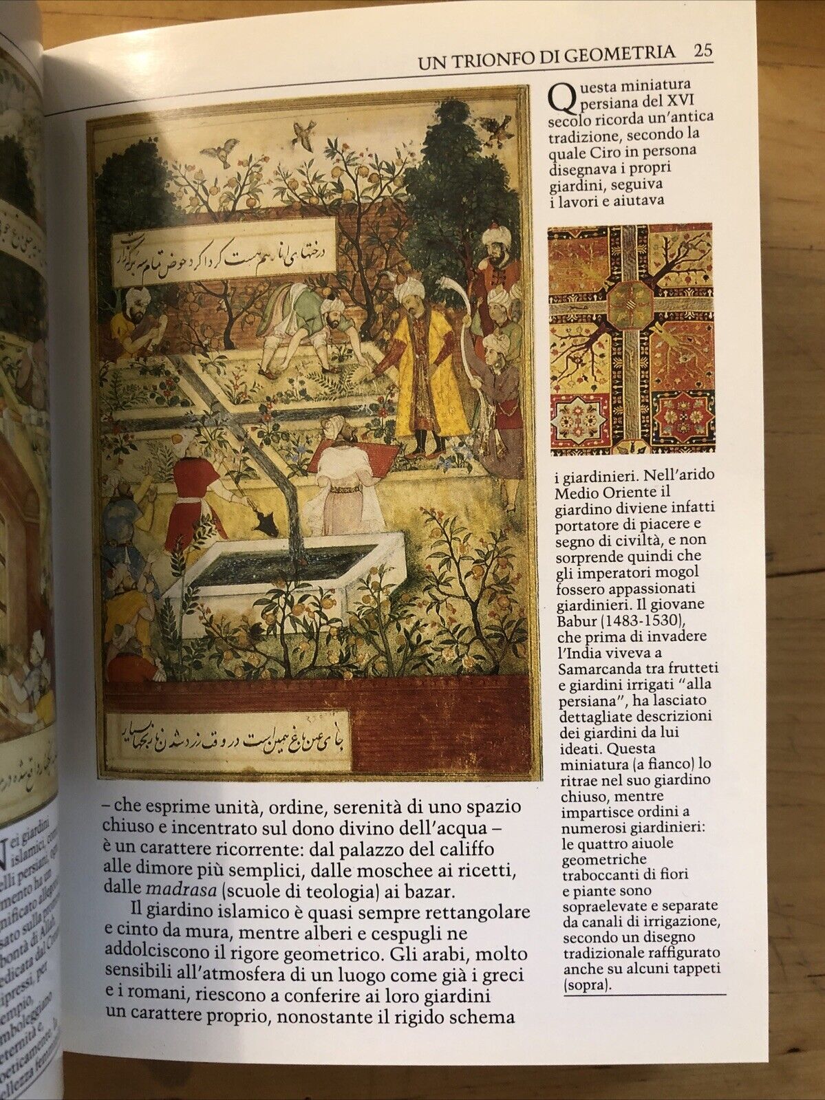 Il giardino paradiso del mondo, Universale Electa Gallimard. G. Van Zuylen 1995