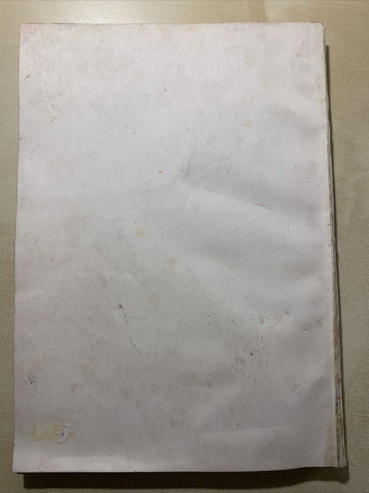 La chiesa parrocchiale di Santa Caterina V. M. di strada Maggiore in Bologna #