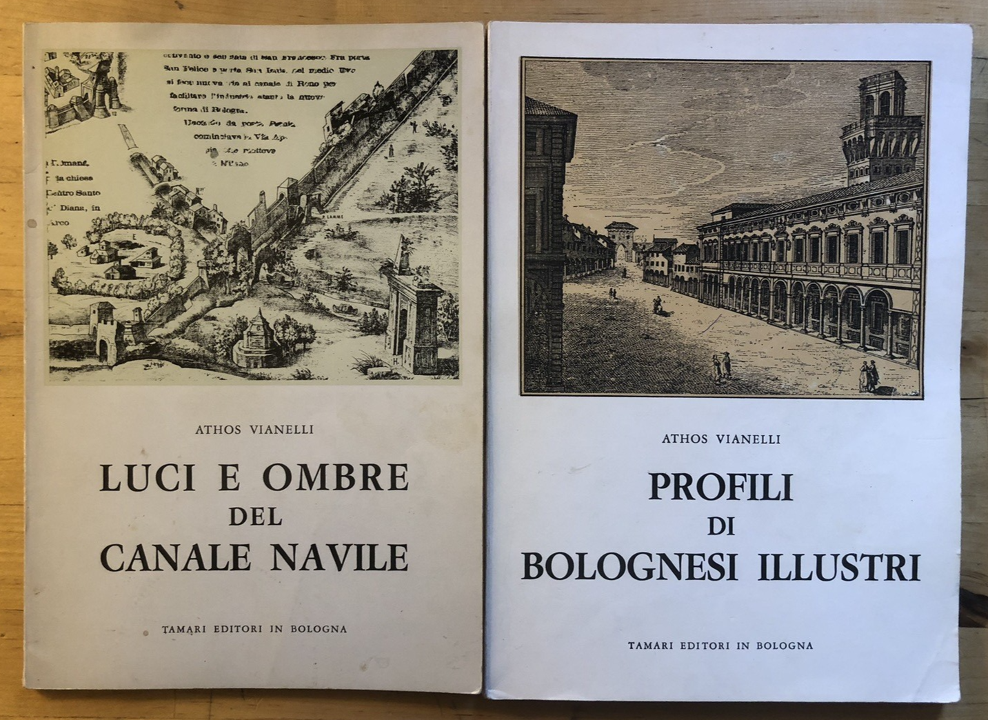 Profili di bolognesi illustri, Luci e ombre sul canale Navile - Athos Vianelli