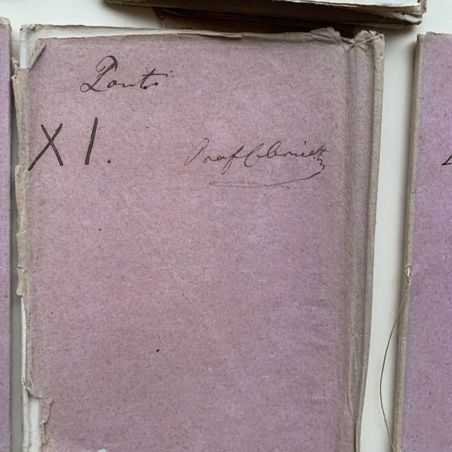 CELESTE CLERICETTI, appunti manoscritti di uno studente UNIVERSITÀ PAVIA 1875 #