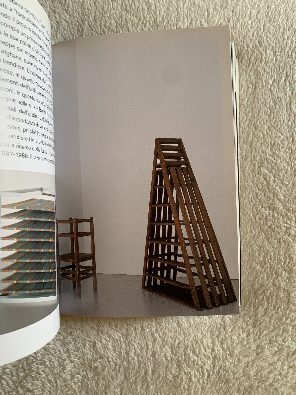 La residenza Sabauda la sua collezione  - Skira