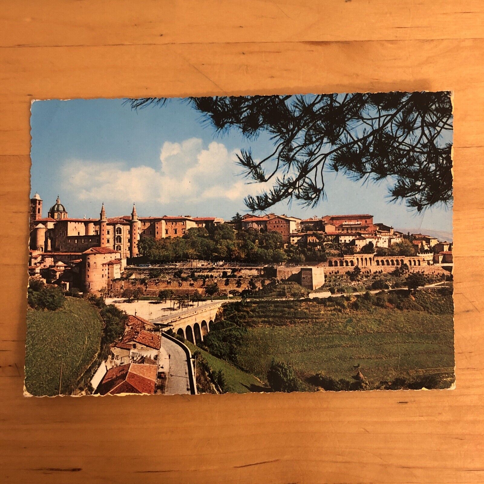 CARTOLINA - URBINO PANORAMA. VIAGGIATA