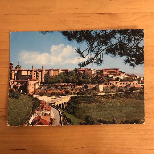 CARTOLINA - URBINO PANORAMA. VIAGGIATA