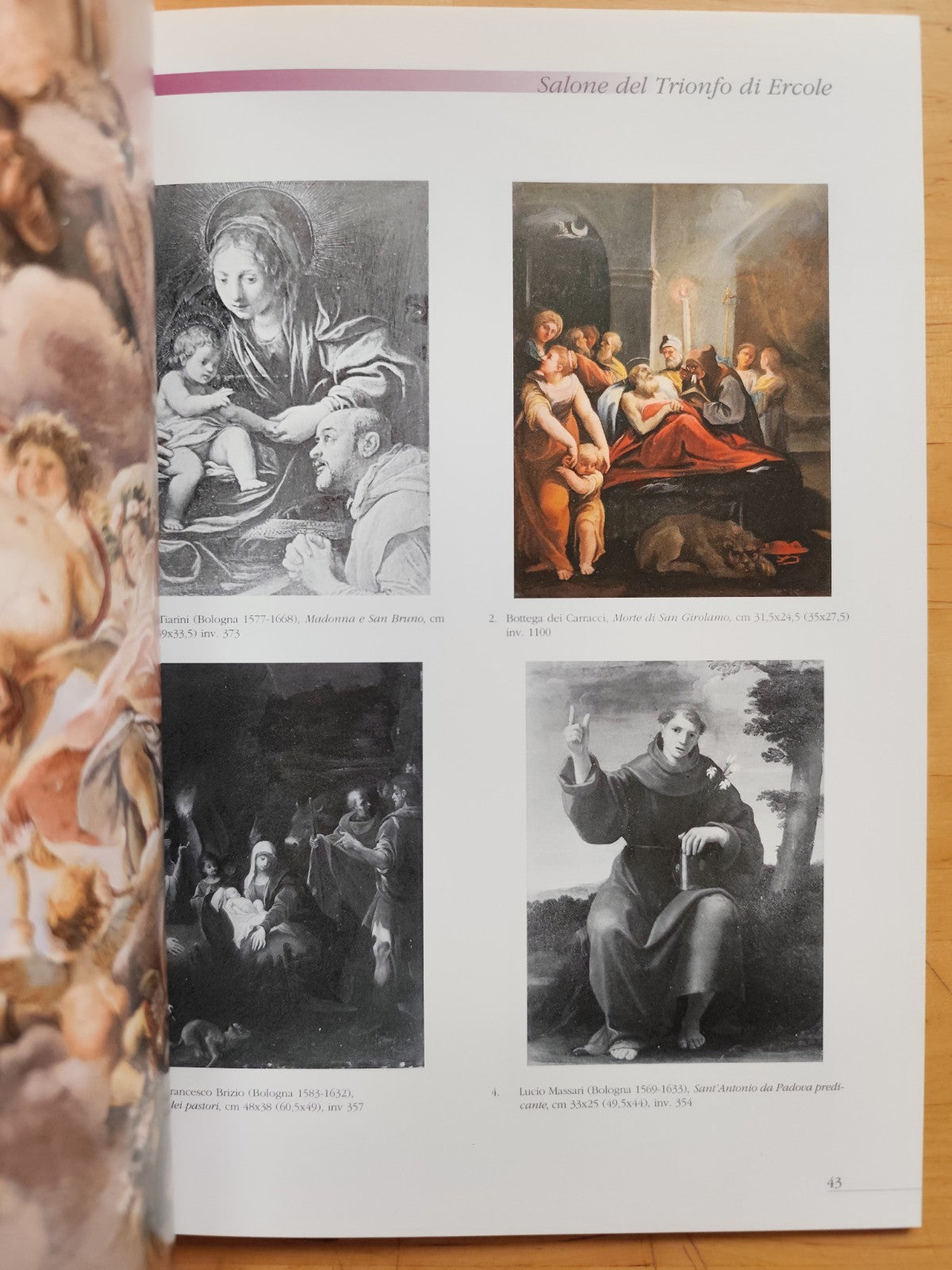 Le antiche stanze Palazzo Pepoli Campogrande e la quadreria Zambeccari, Minerva