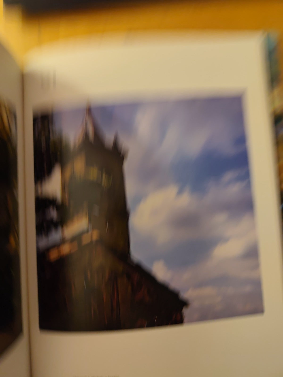 Paesaggi Infedeli Nino Migliori - Damiani 2008