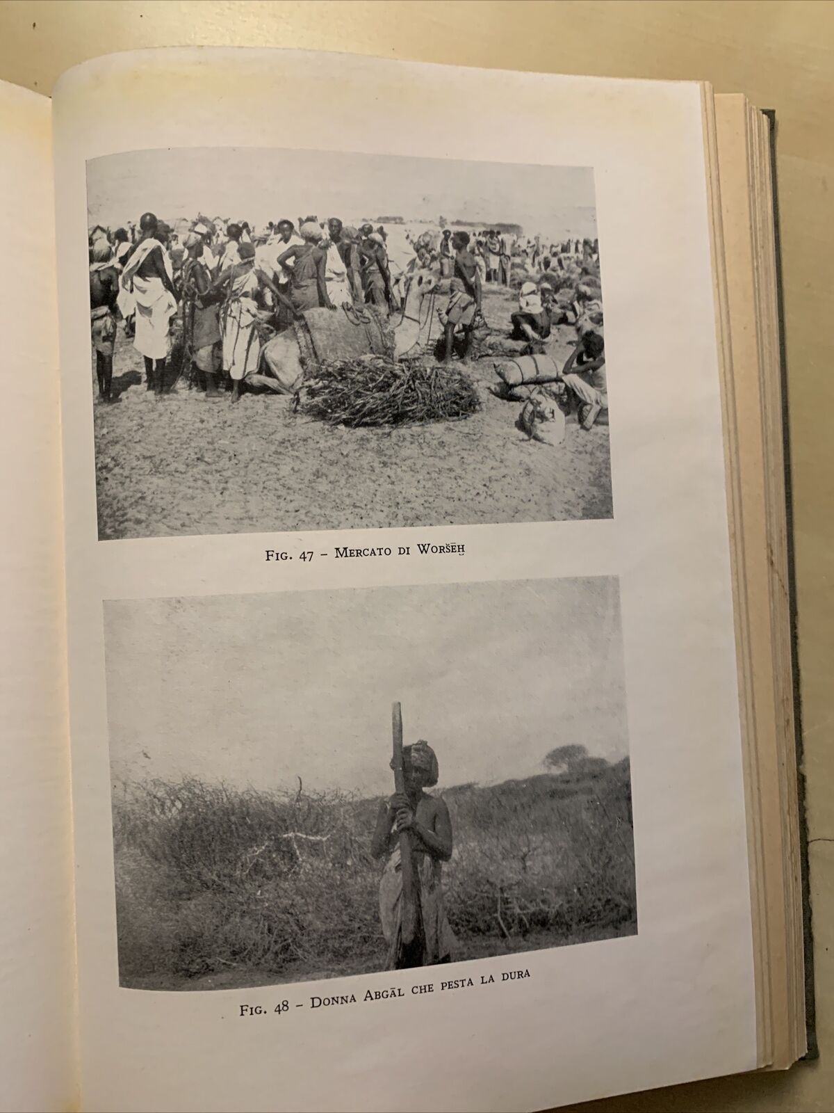 SOMALIA Enrico Cerulli, vol. 2 Diritto Etnografia Linguistica tribù Hawiyya 1959