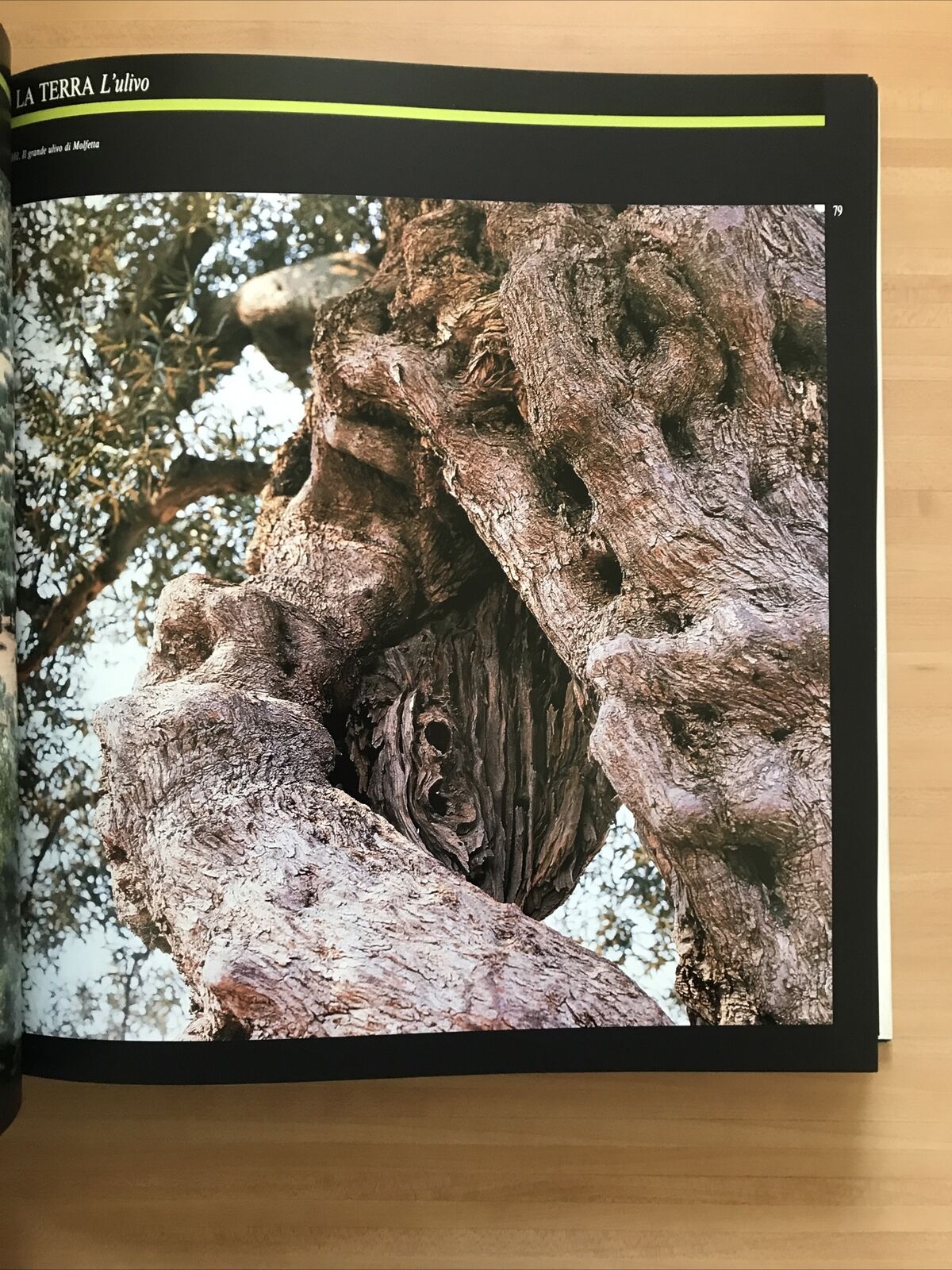 BARI - VIAGGIO IN PROVINCIA  Biblos edizioni - 1991
