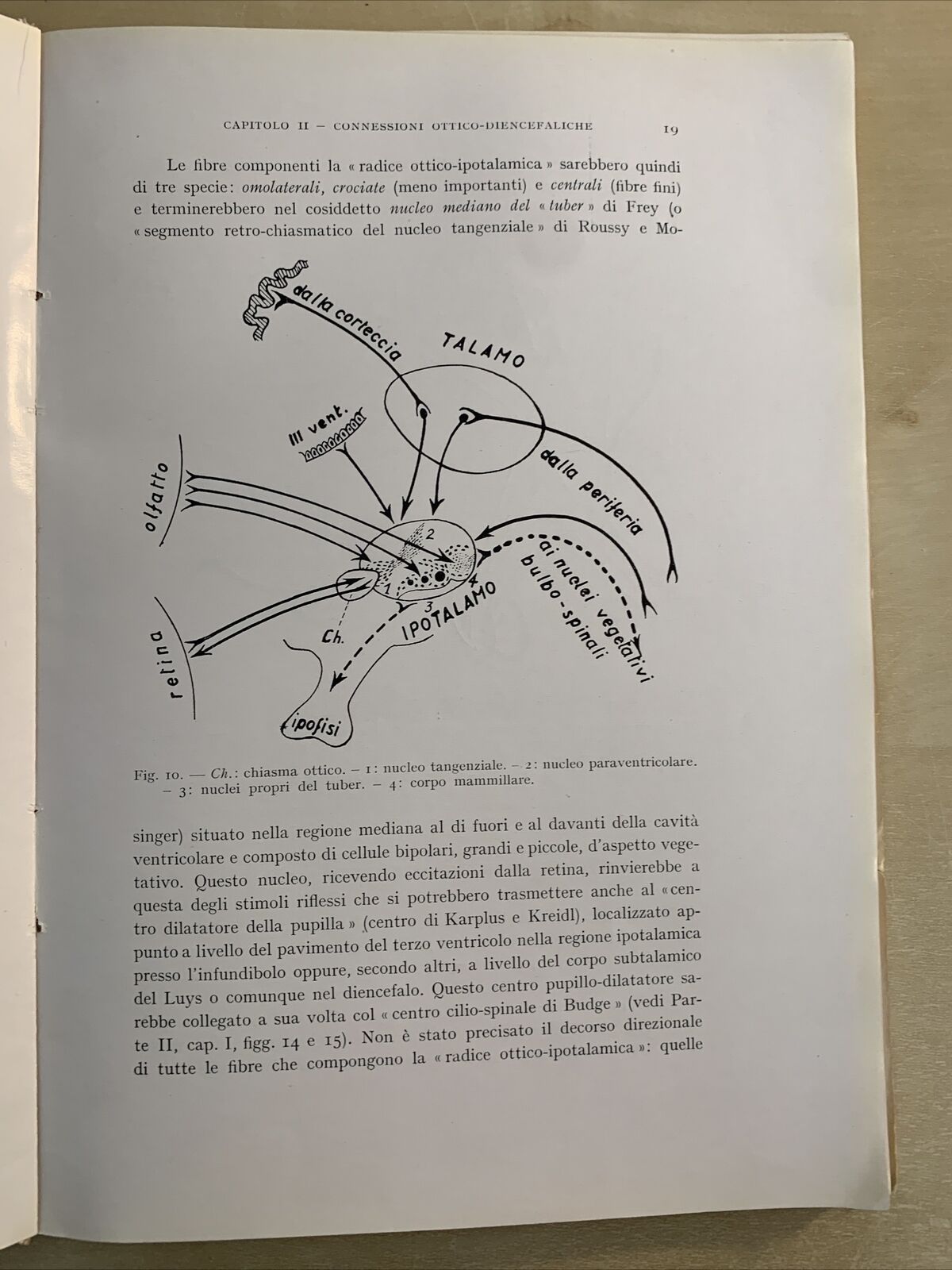 FISIOPATOLOGIA E CLINICA OCULO - DIENCEFALICA. Alajmo, Rubino 1952. Ariani #