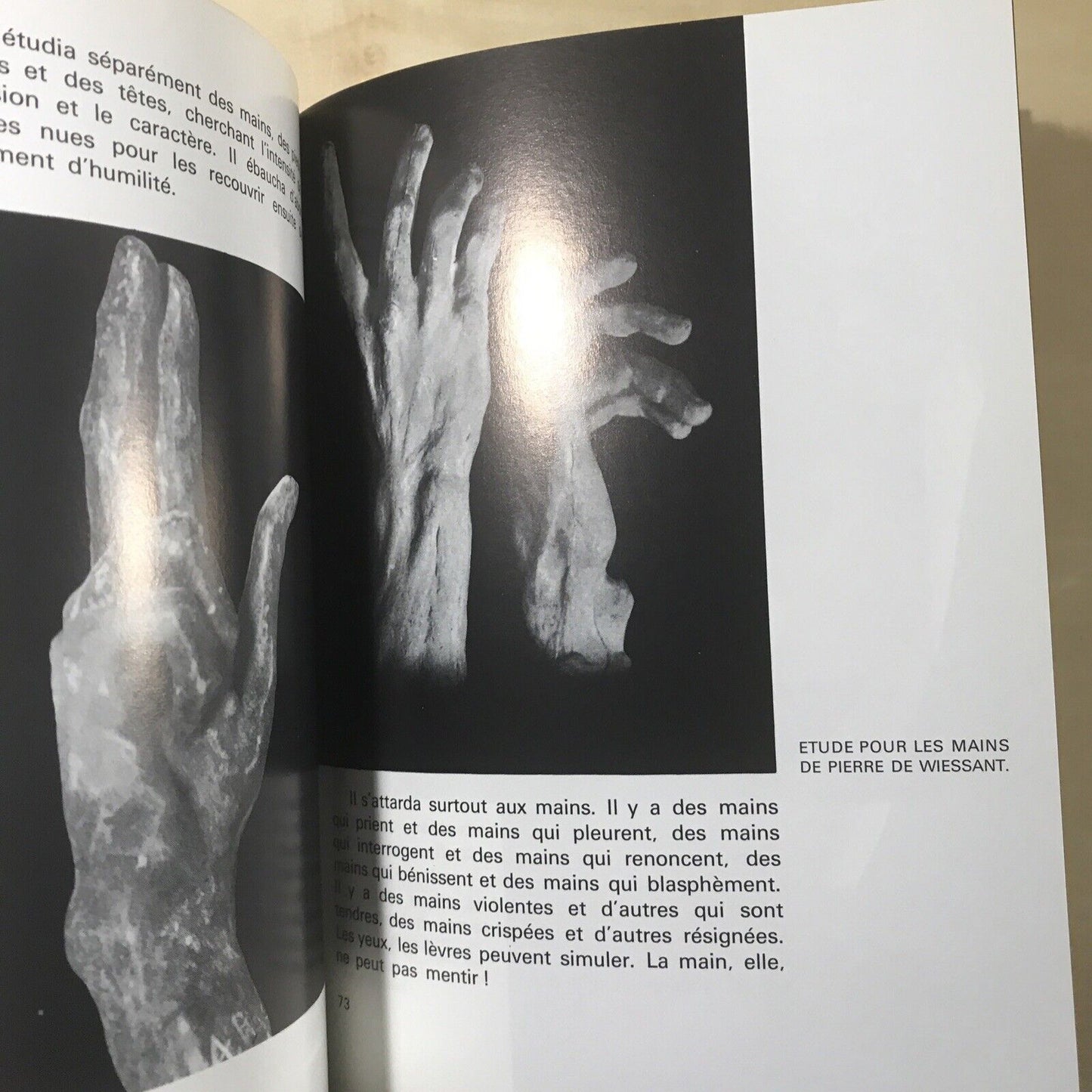 RODIN - Ionel Jianou, C. Goldscheider 1990