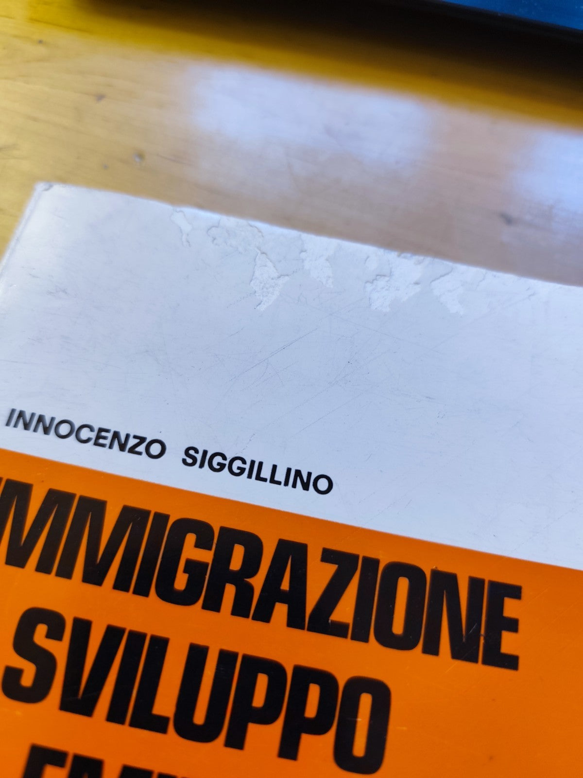 Immigrazione e sviluppo in Emilia-Romagna - Innocenzo Sigillino ACLI 1980