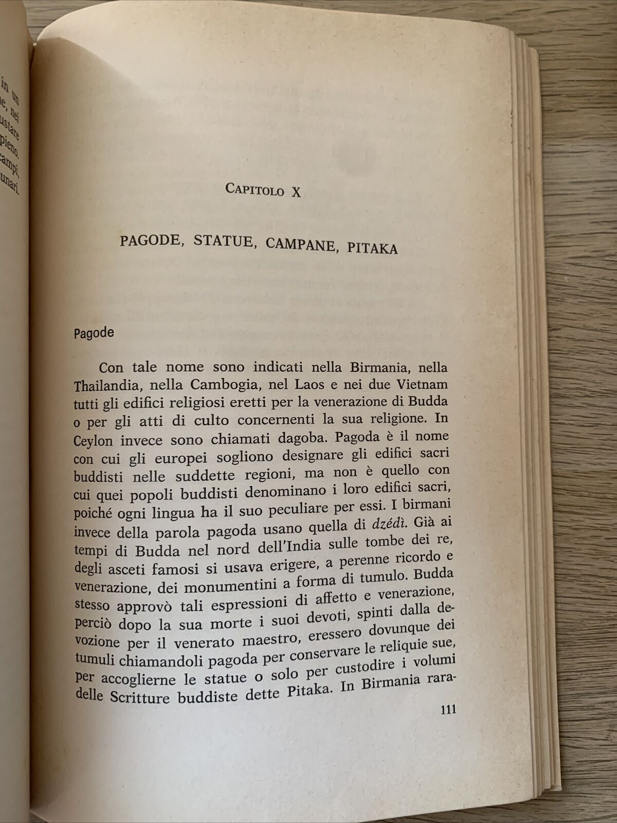 IL BUDDISMO NELLA SOCIETÀ BIRMANA - Pasquale Anatriello.