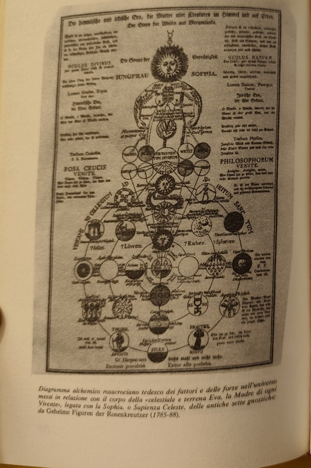 Storia della Magia - Richard Cavendish CDE 1983 - esoterismo misticismo occulto