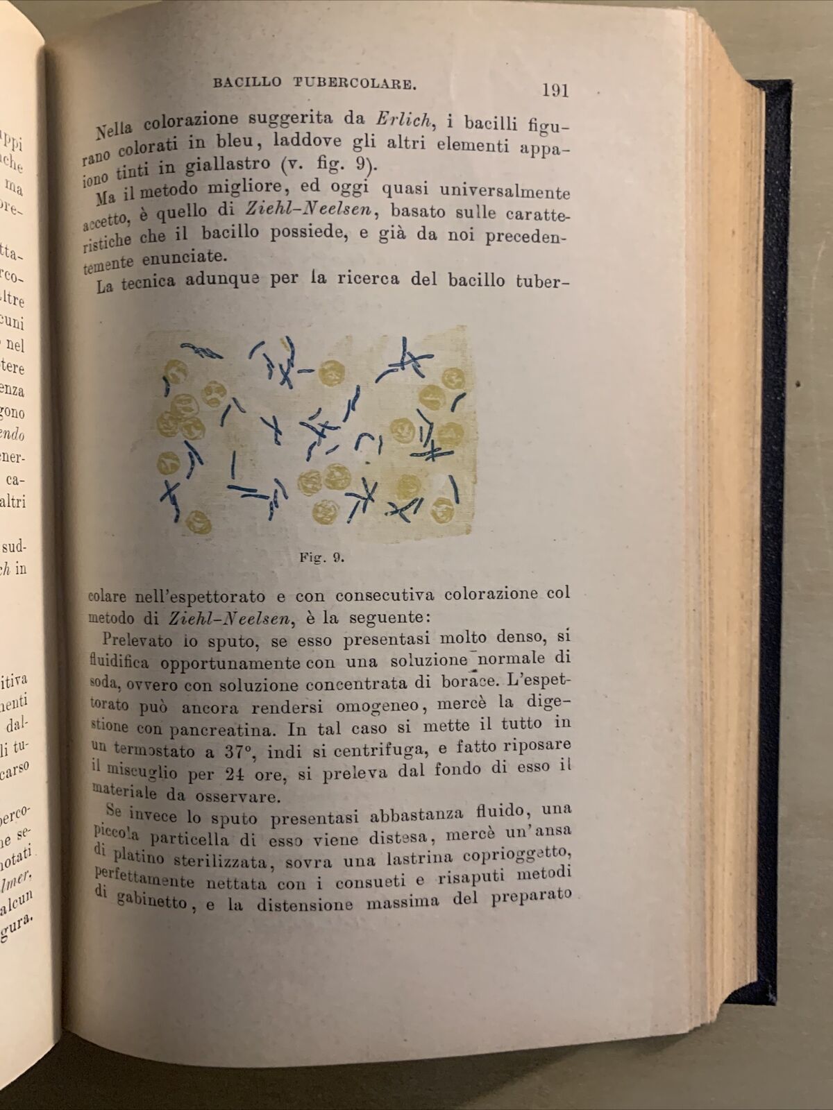 MANUALE DI CLINICA MEDICA PROPEDEUTICA (SEMEIOTICA) Adolfo Biondi, Vallardi 1903