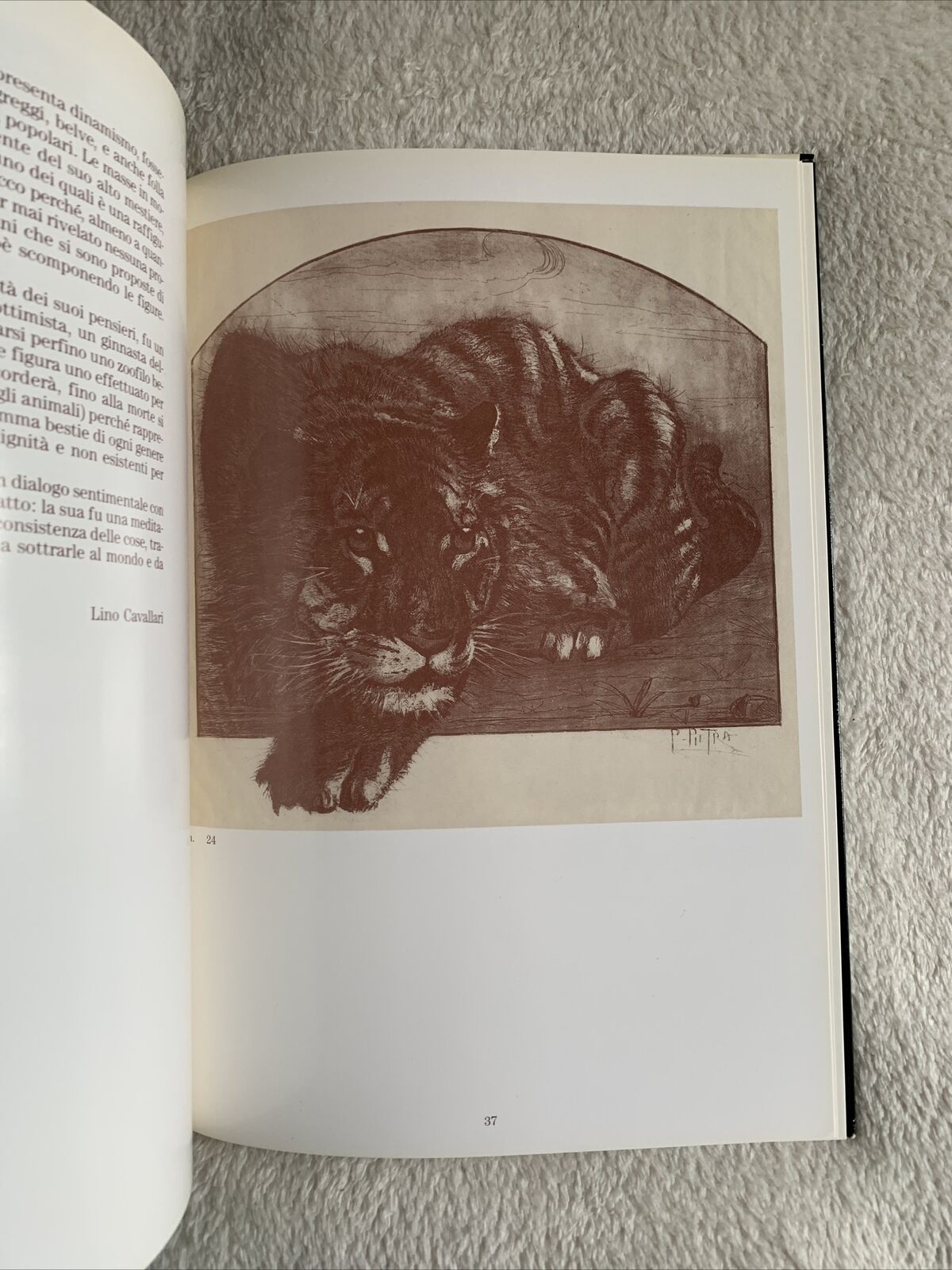 PIETRO PIETRA - galleria d'arte d'Azeglio 1986