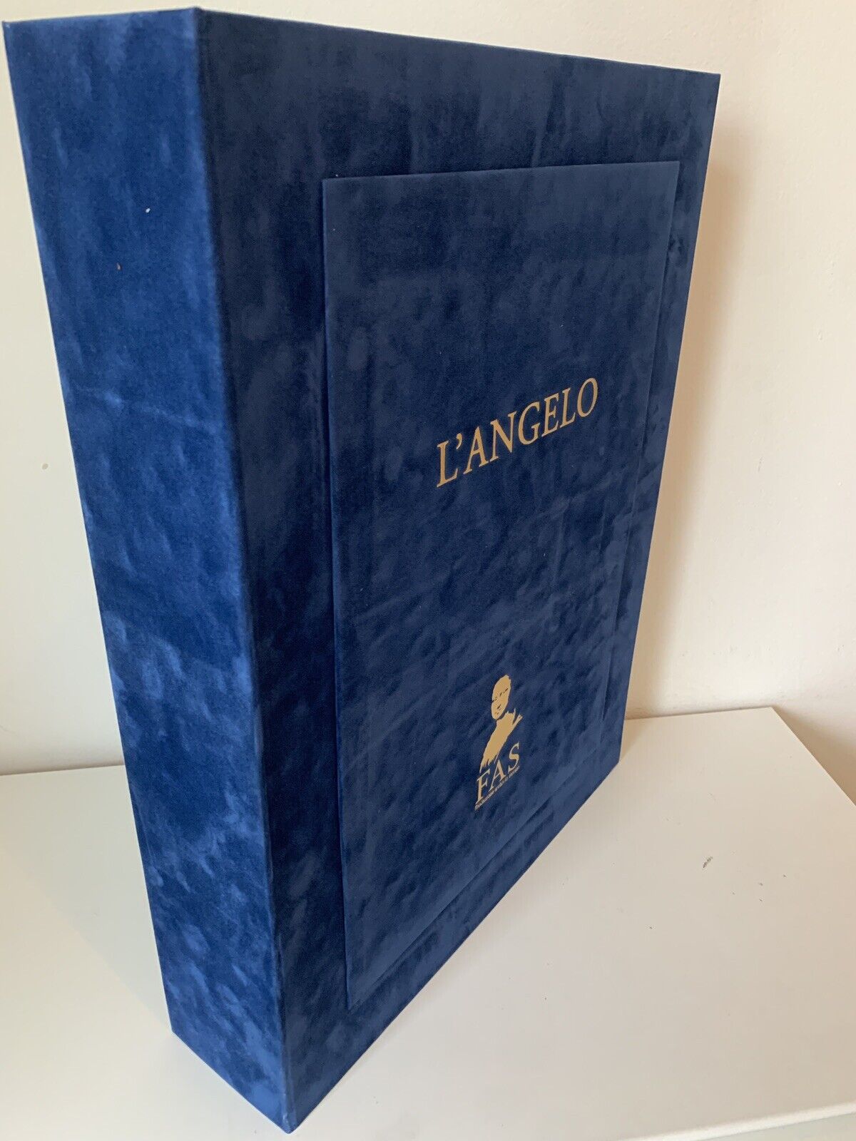 L'Angelo, Elvio Marchionni, FAS fondazione archivio storico 2016