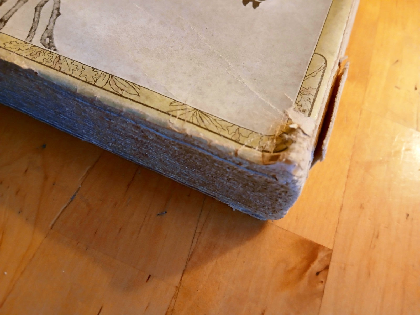 Patria Esercito Re - memorie e note di Leopoldo Pullè - Hoepli editore 1902