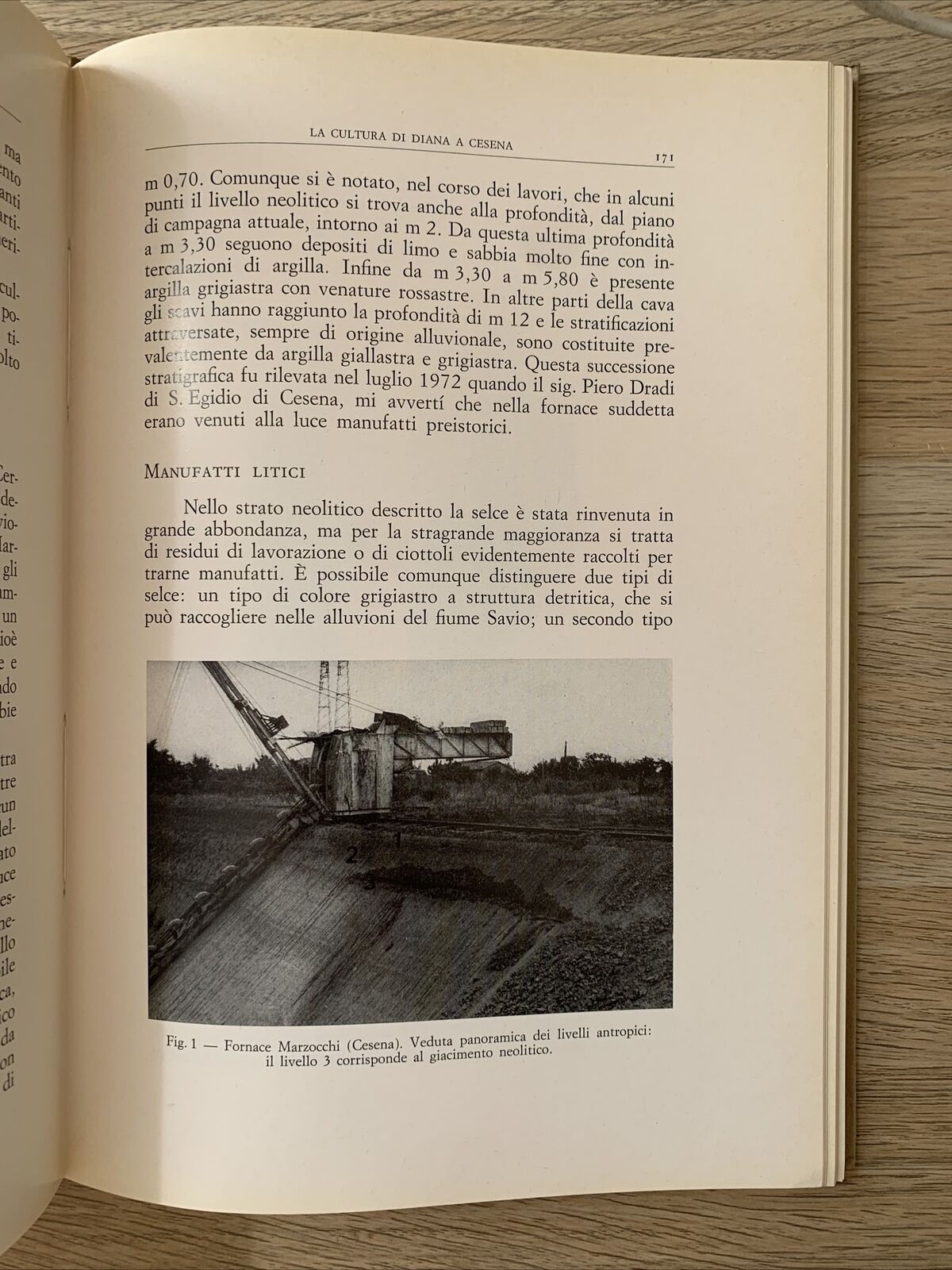 STUDI ROMAGNOLI XXII 1971, SOCIETÀ DI STUDI ROMAGNOLI, FRATELLI LEGA EDITORI #