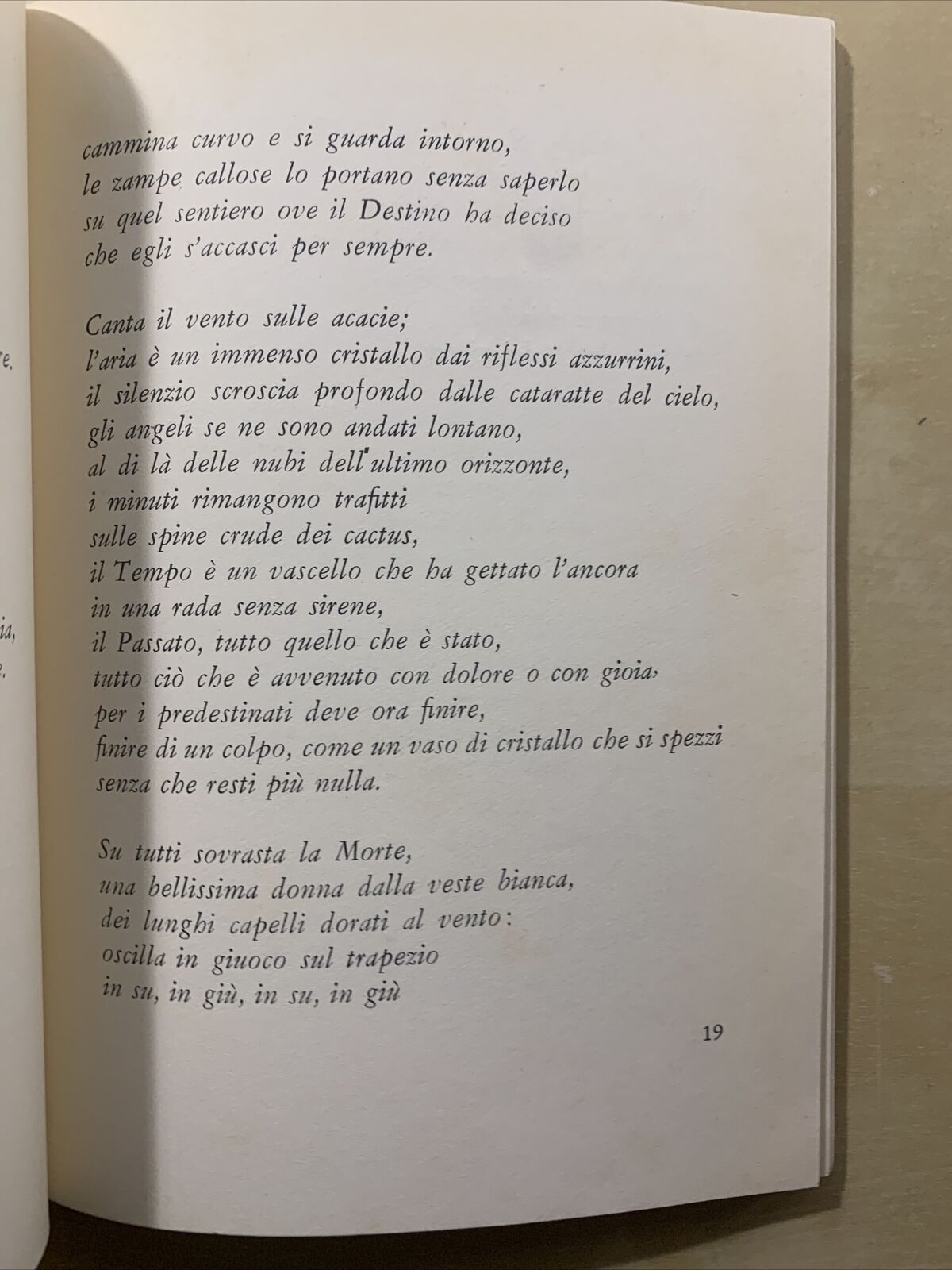 LINO BUSINCO - ALCUNE CONCHIGLIE (E QUALCOS'ALTRO) **CON DEDICA E FIRMA AUTORE #