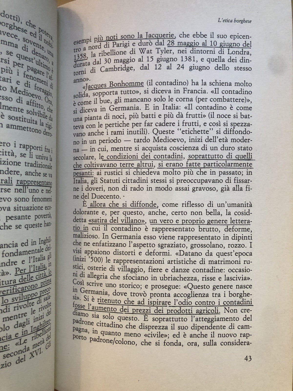 La pietra viva, città e natura del medioevo  - Vito Fumagalli, il Mulino 1988