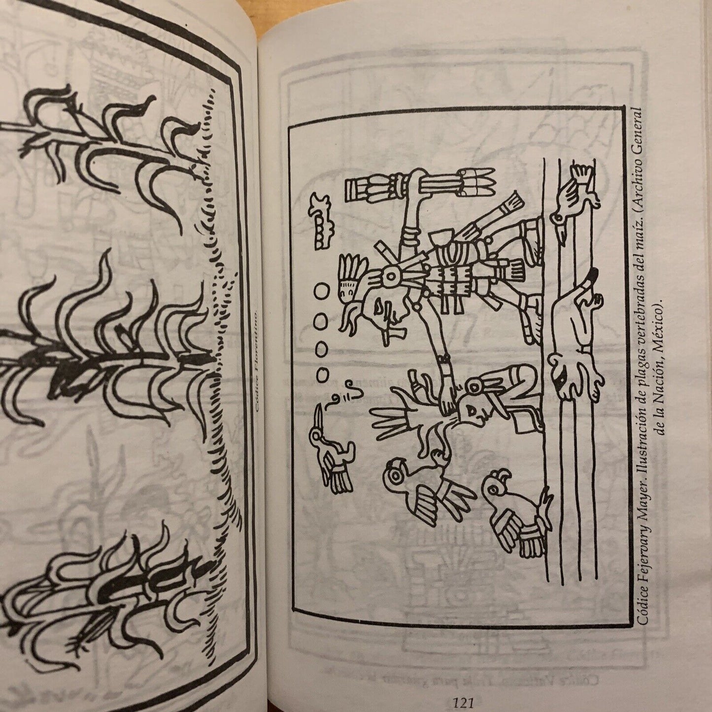 Agricultura prehispanica y colonial - Mario Ardon Mejia. editorial guayamuras