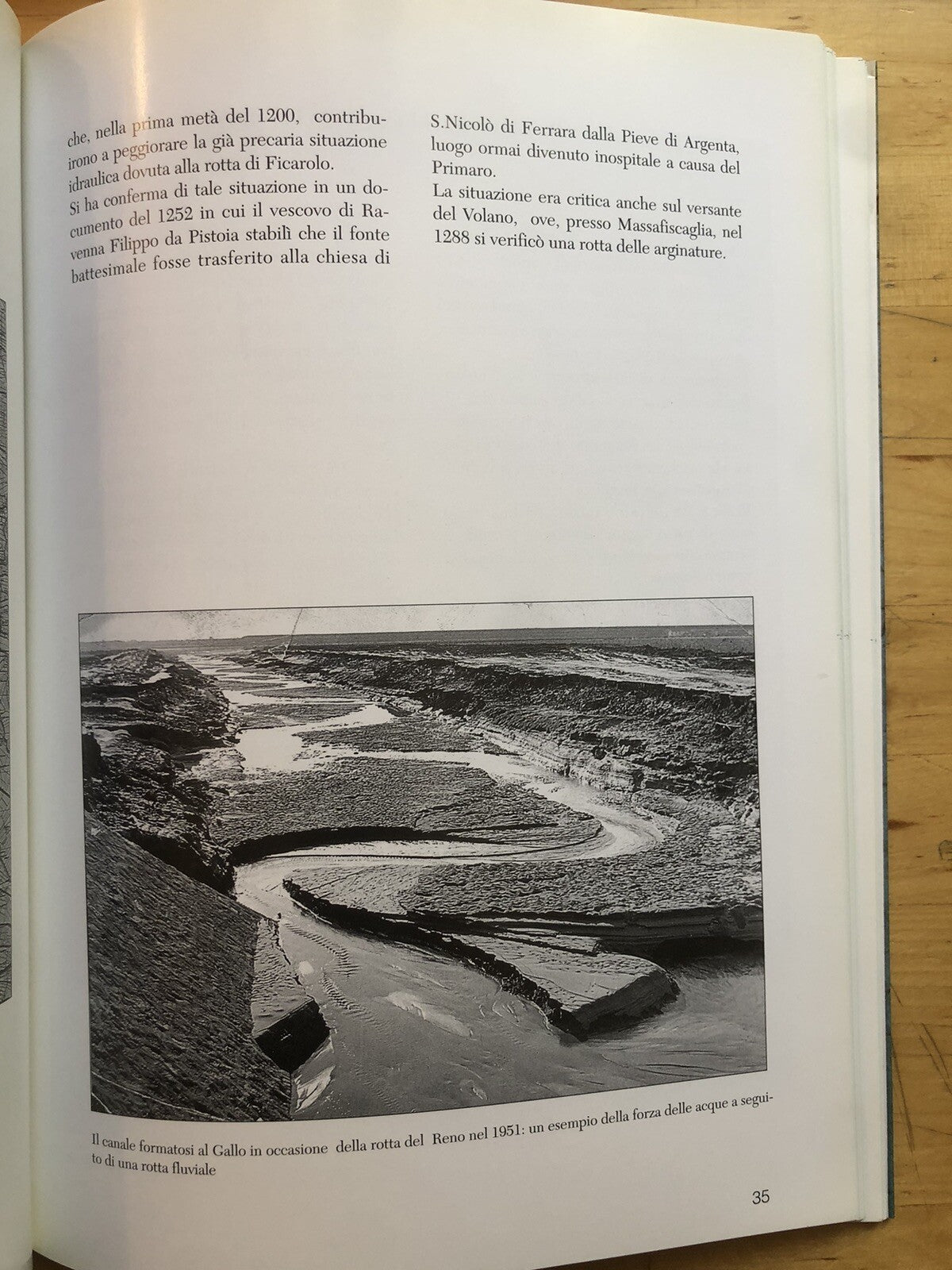 Idrografia e bonifica del bacino del Reno, Giancarlo Leoni 1994