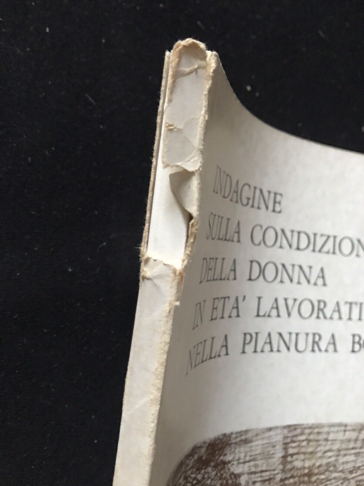 Indagine sulla condizione della donna in età lavorativa nella pianura bolognese#