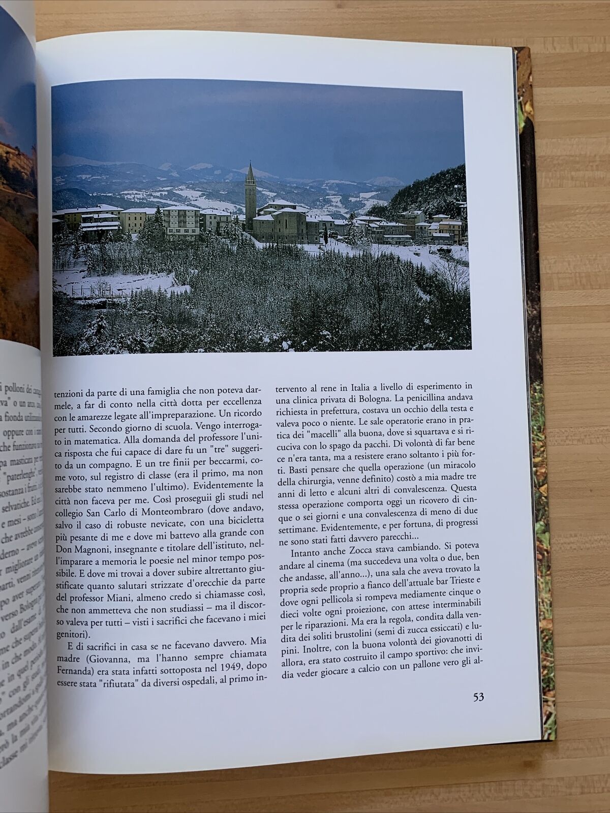 ZOCCA - PENSIERI A COLORI, RICCARDO SOLMI. CALDERINI EDAGRICOLE #