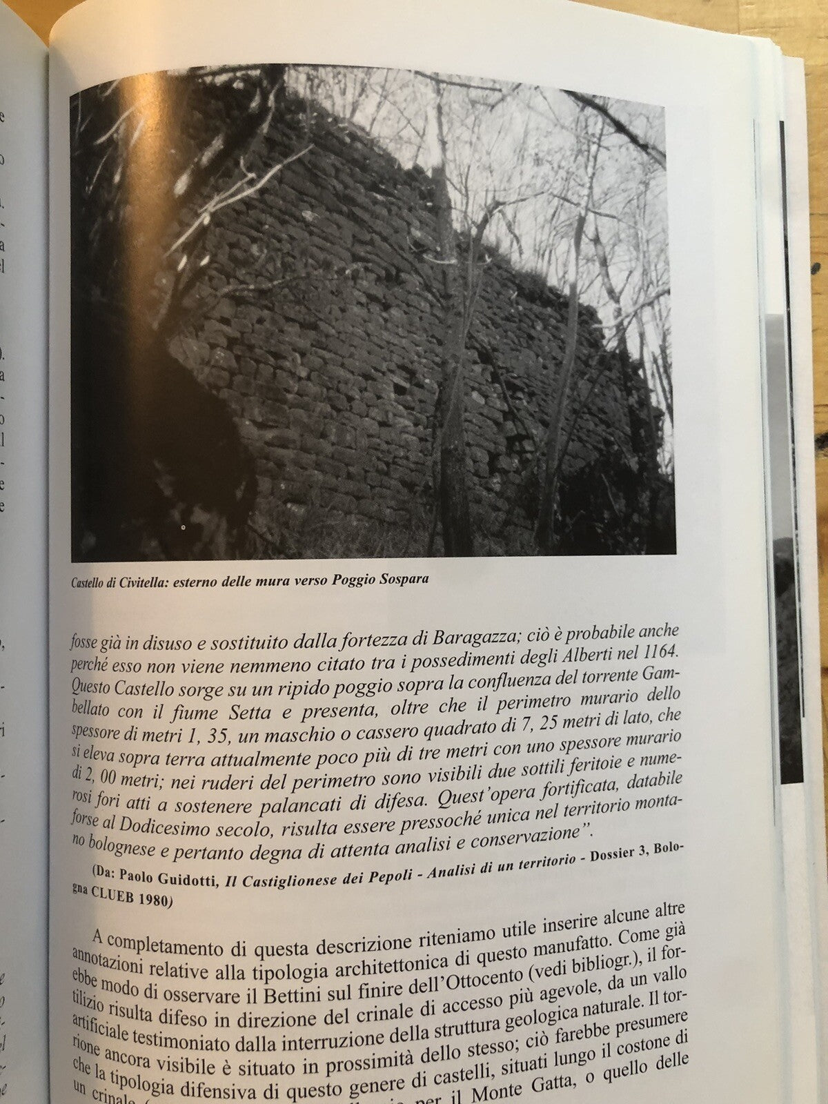 I conti Alberti secoli XI - XIV Michelangelo Abatantuono, Montagna Bologna Prato