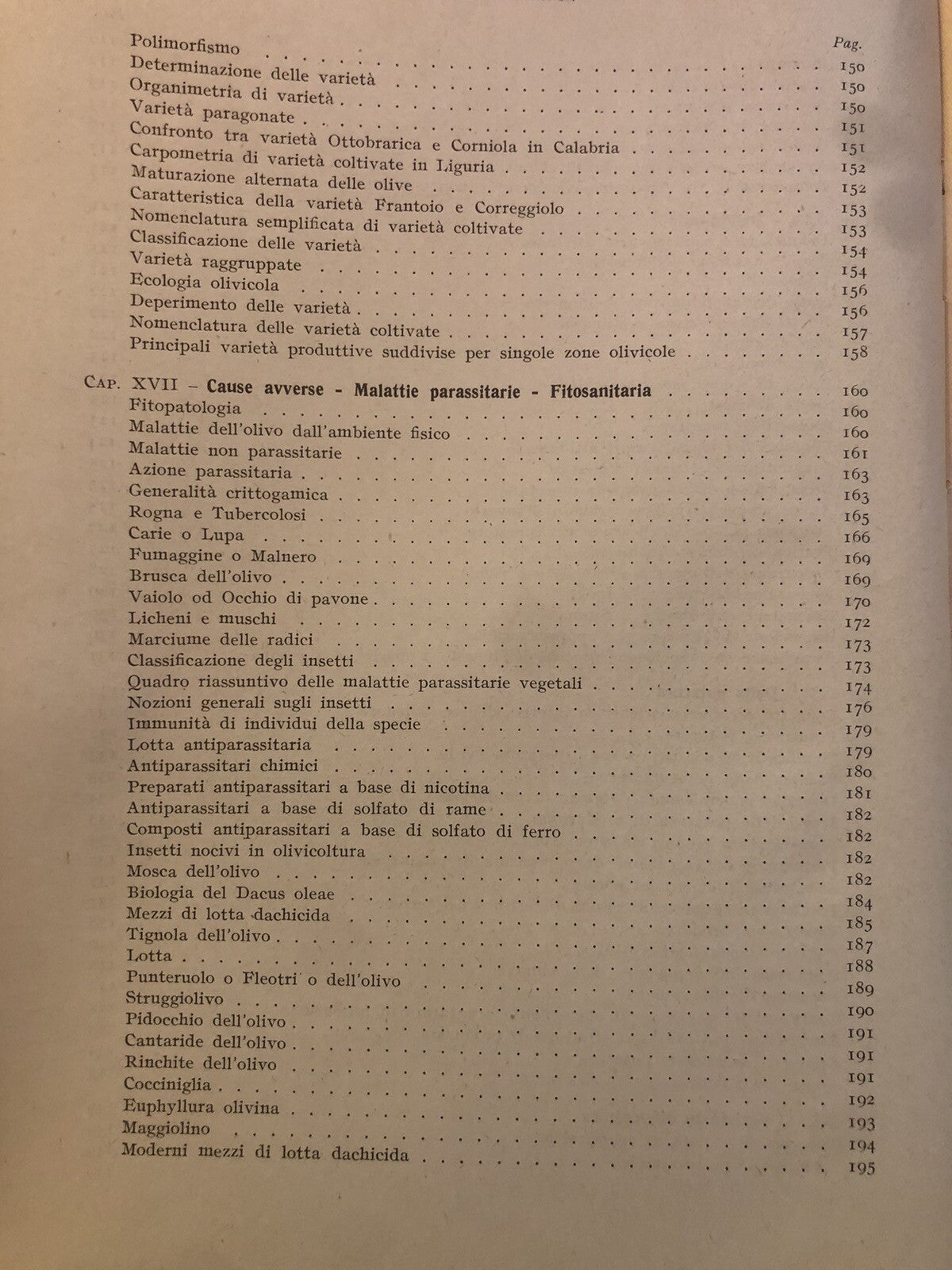 Olivicoltura e oleificio R. F. Simari, G. B. Martinenghi, Hoepli illustrato 1950