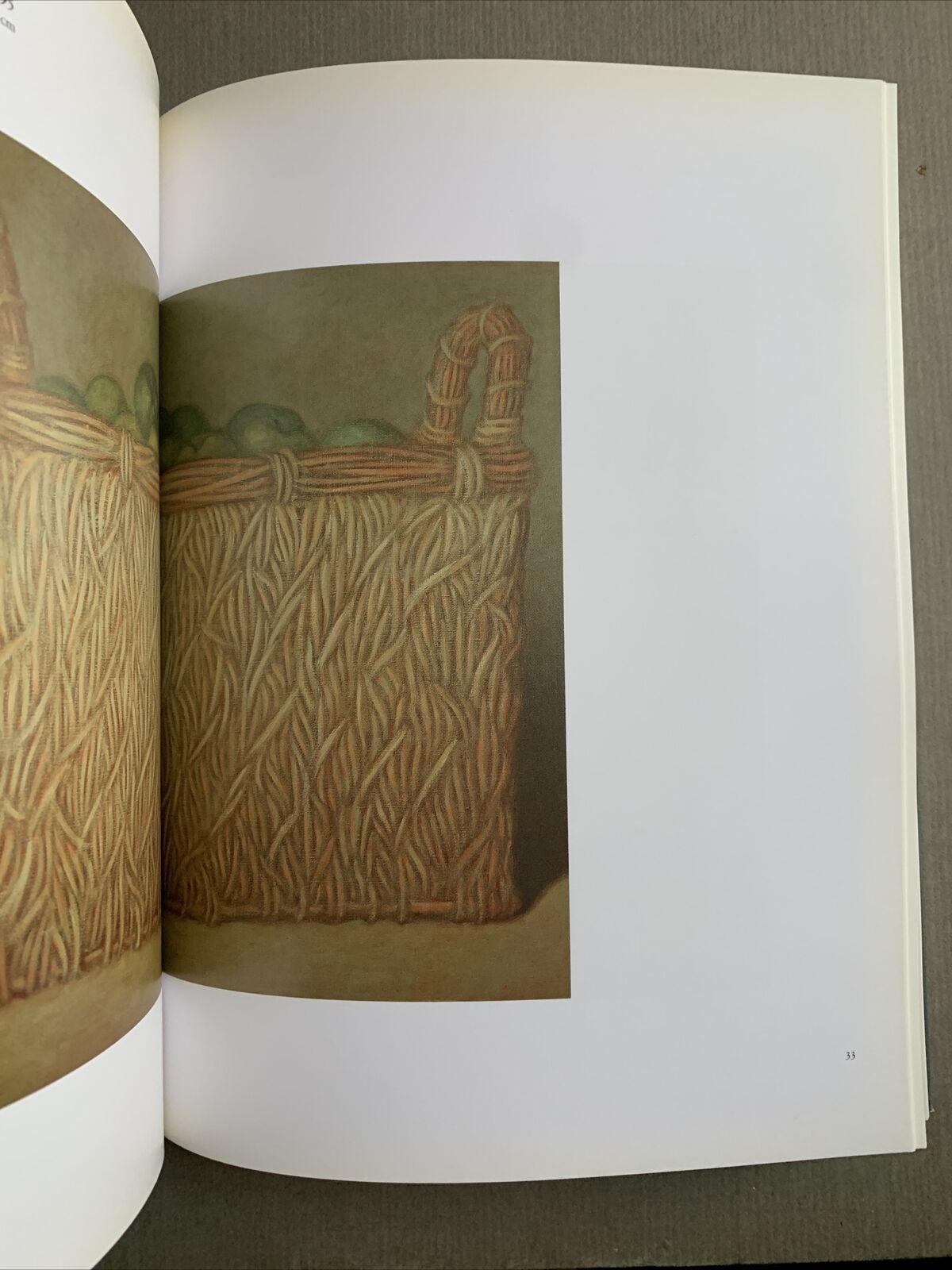 FABIO AGUZZI - GIORGIO SOAVE Ciasa De Ra Regoles 1995 #