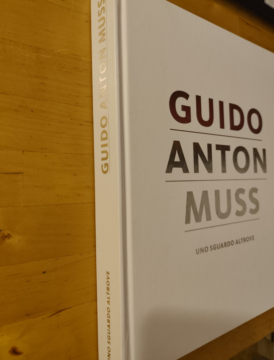 Guido Anton Musso uno sguardo altrove - Andrea Maistrello - Athesia ed. 2013