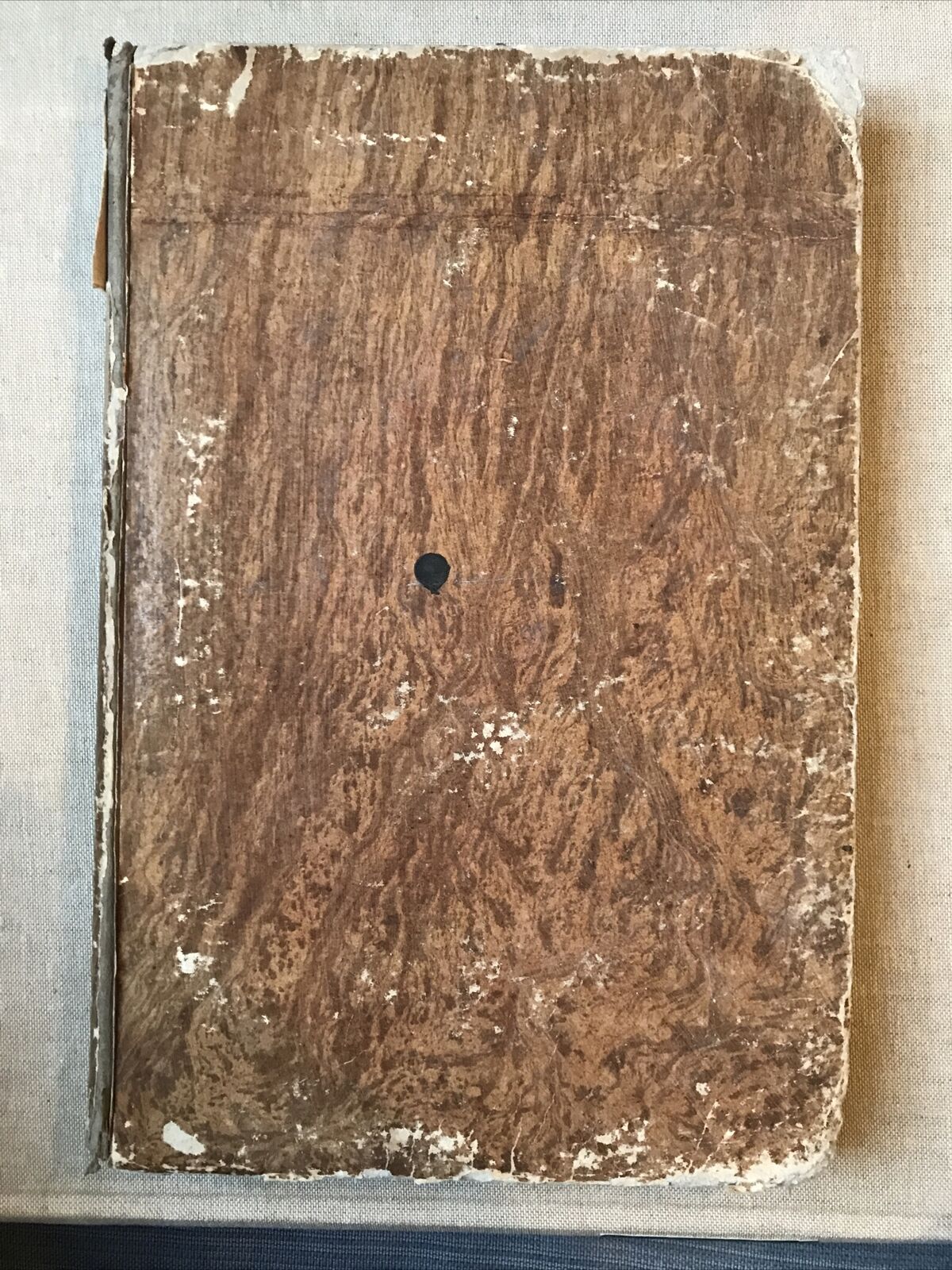 MUSEO SCIENTIFICO LETTERARIO ED ARTISTICO, Luigi Cicconi  - Anno primo 1839