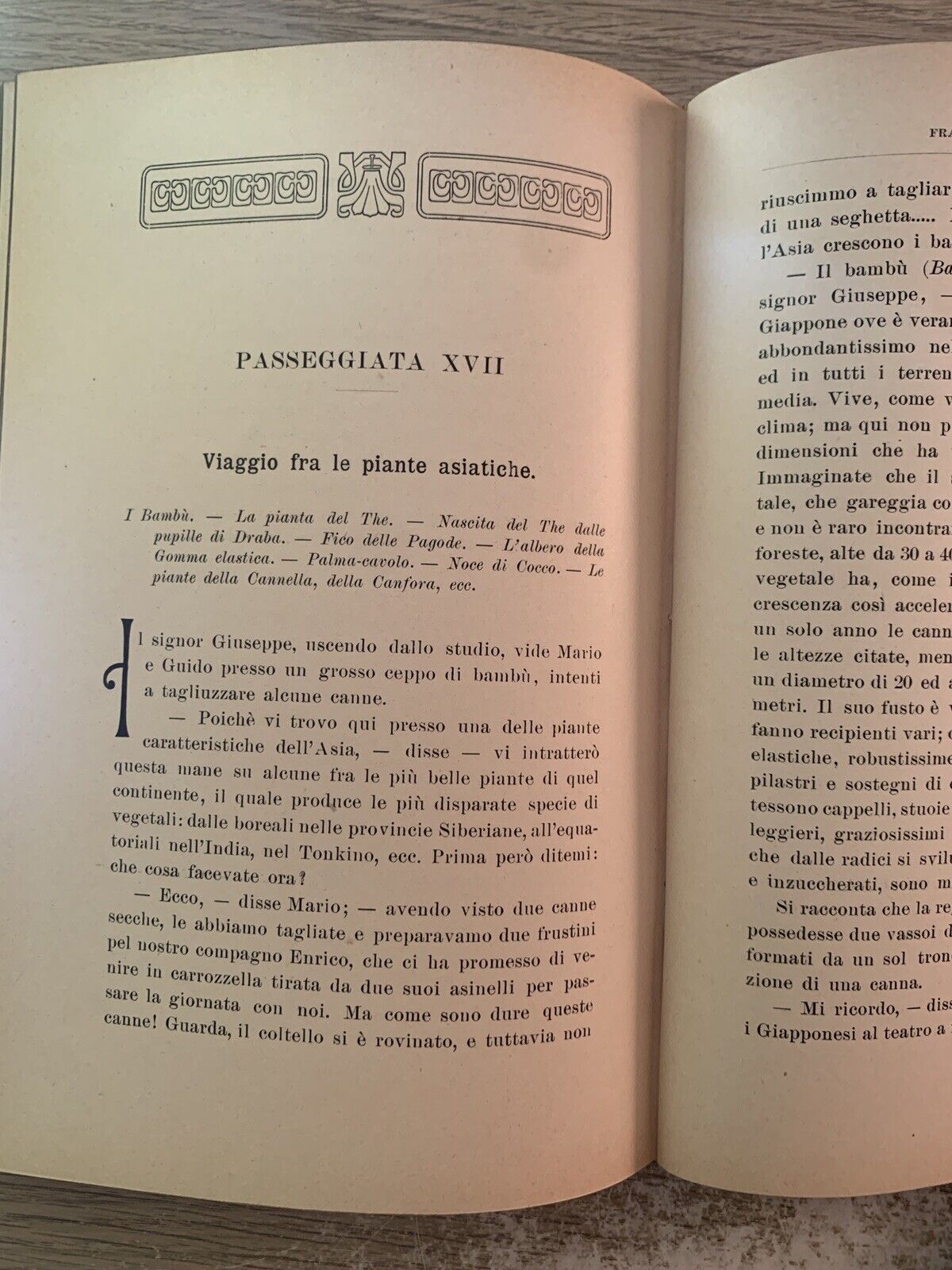 La Botanica Ricreativa, Giuseppe Roda. Paravia 1907 meraviglie della vegetazione