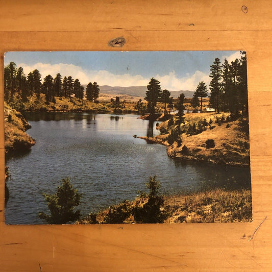 CARTOLINA - LA SILA, LAGO CECITA 1964 -  VIAGGIATA
