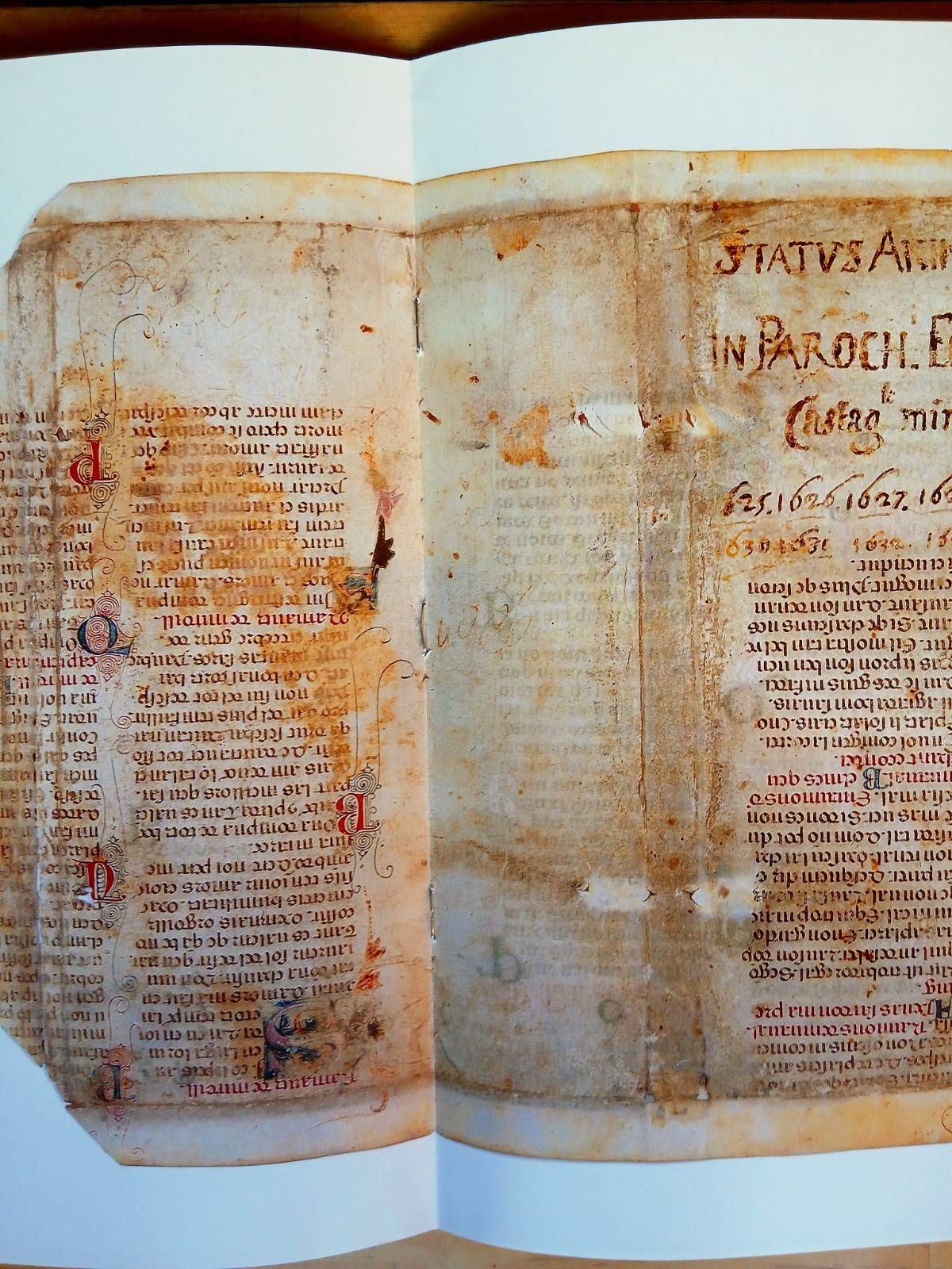 Uno sconosciuto manoscritto provenzale nell'archivio di Castagnolo - Bentivoglio