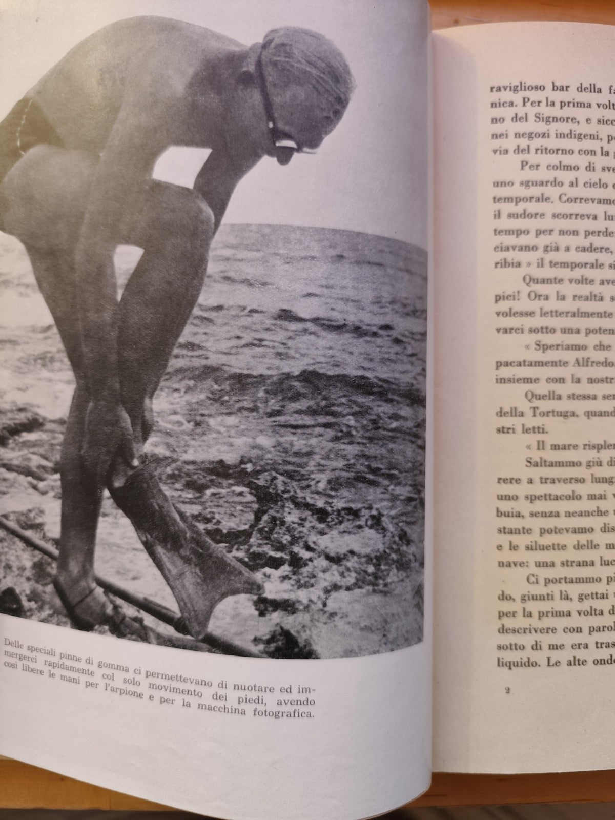 Fra squali e coralli avventure nel mar Caraibico, Hans Hass - Mediterranea 1949
