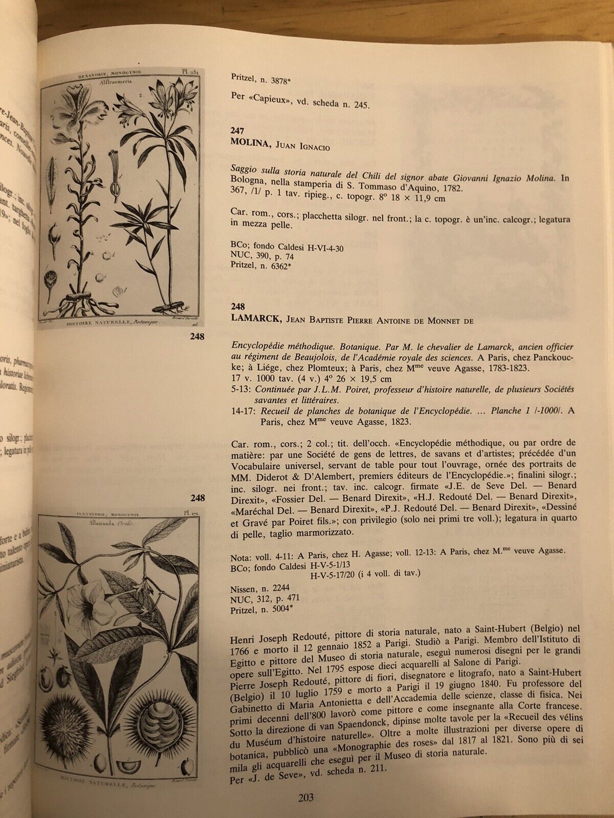 BIBLIOTHECA BOTANICA - LODOVICO CALDESI erbario e libri dal cinquecento al 700