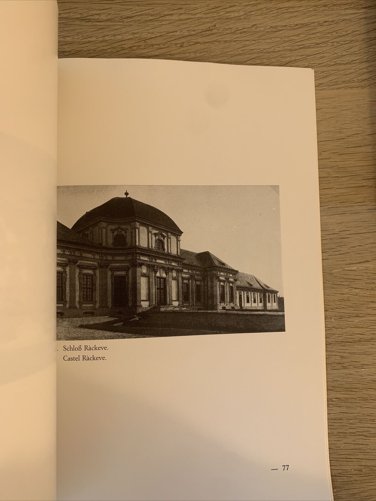 studi italo-tedeschi deutsch-italienische studien IX. 1988