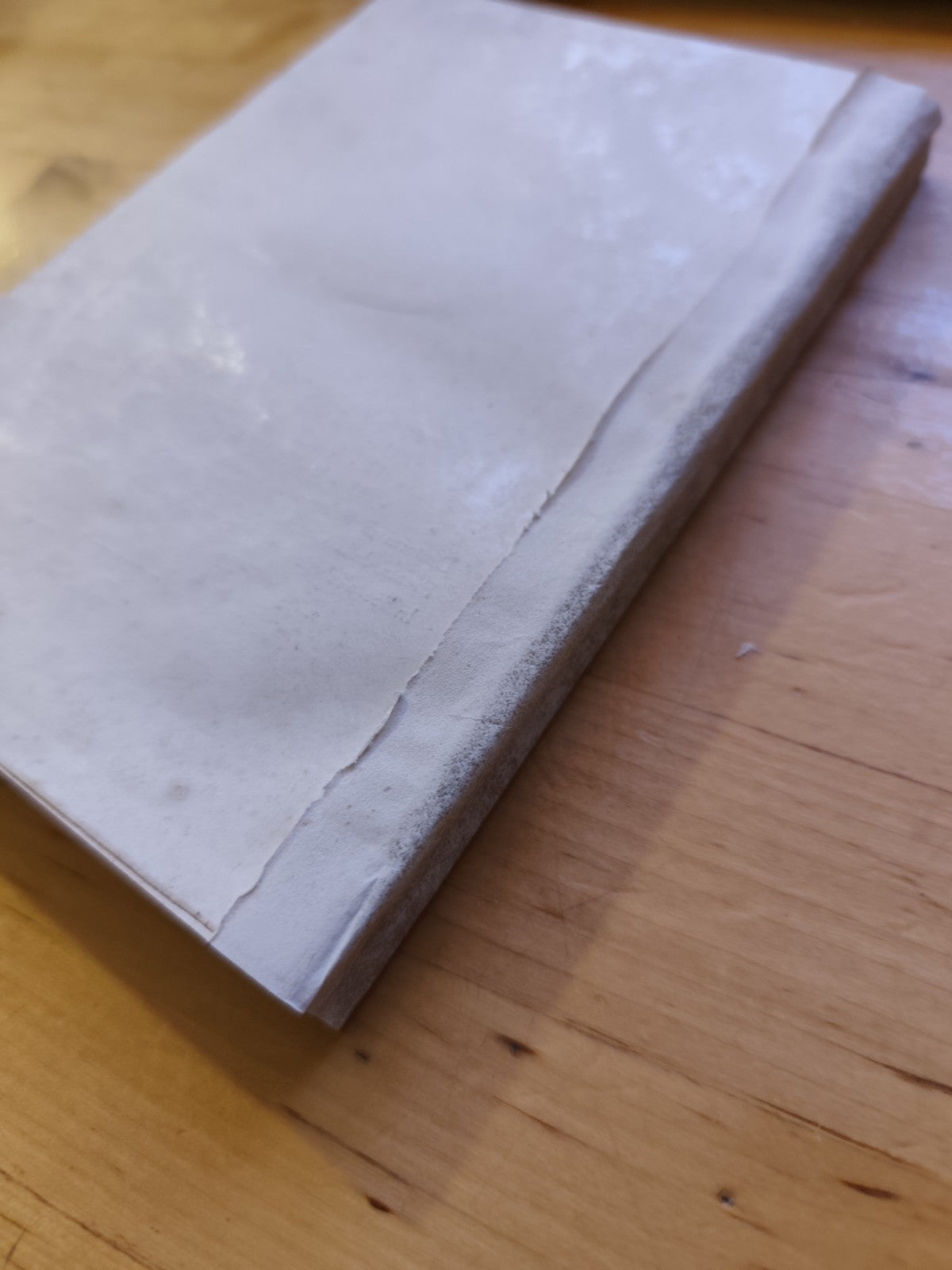 Guida di Bologna e suoi dintorni - Brugnoli 1926