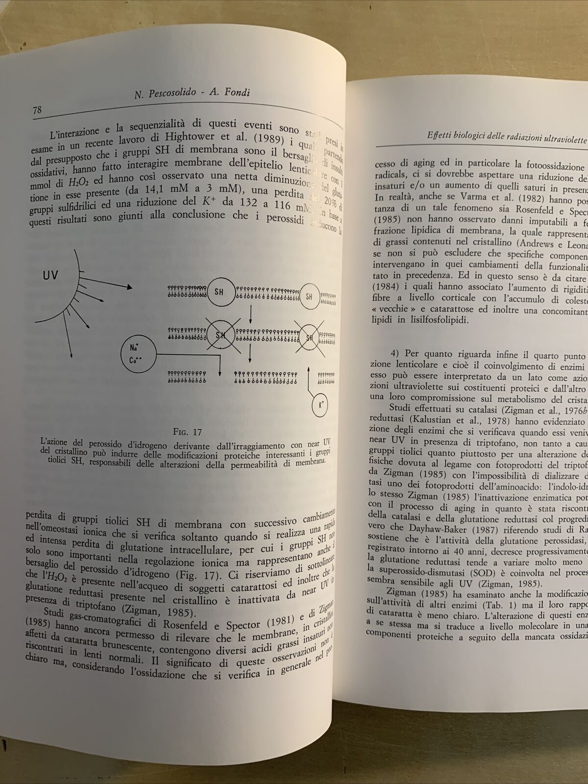 RADIAZIONI NON IONIZZANTI ED OCCHIO - Nicola Pescosolido, Baccini editore 1994 #