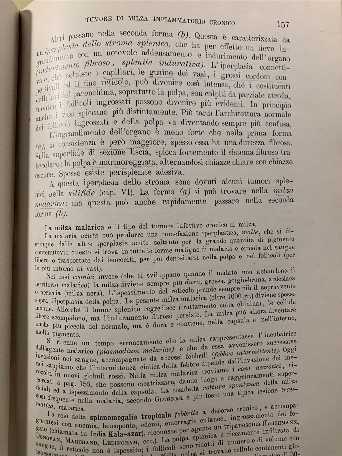 Trattato di ANATOMIA PATOLOGICA SPECIALE - Kaufmann E. Vallardi 1913 2 voll. #