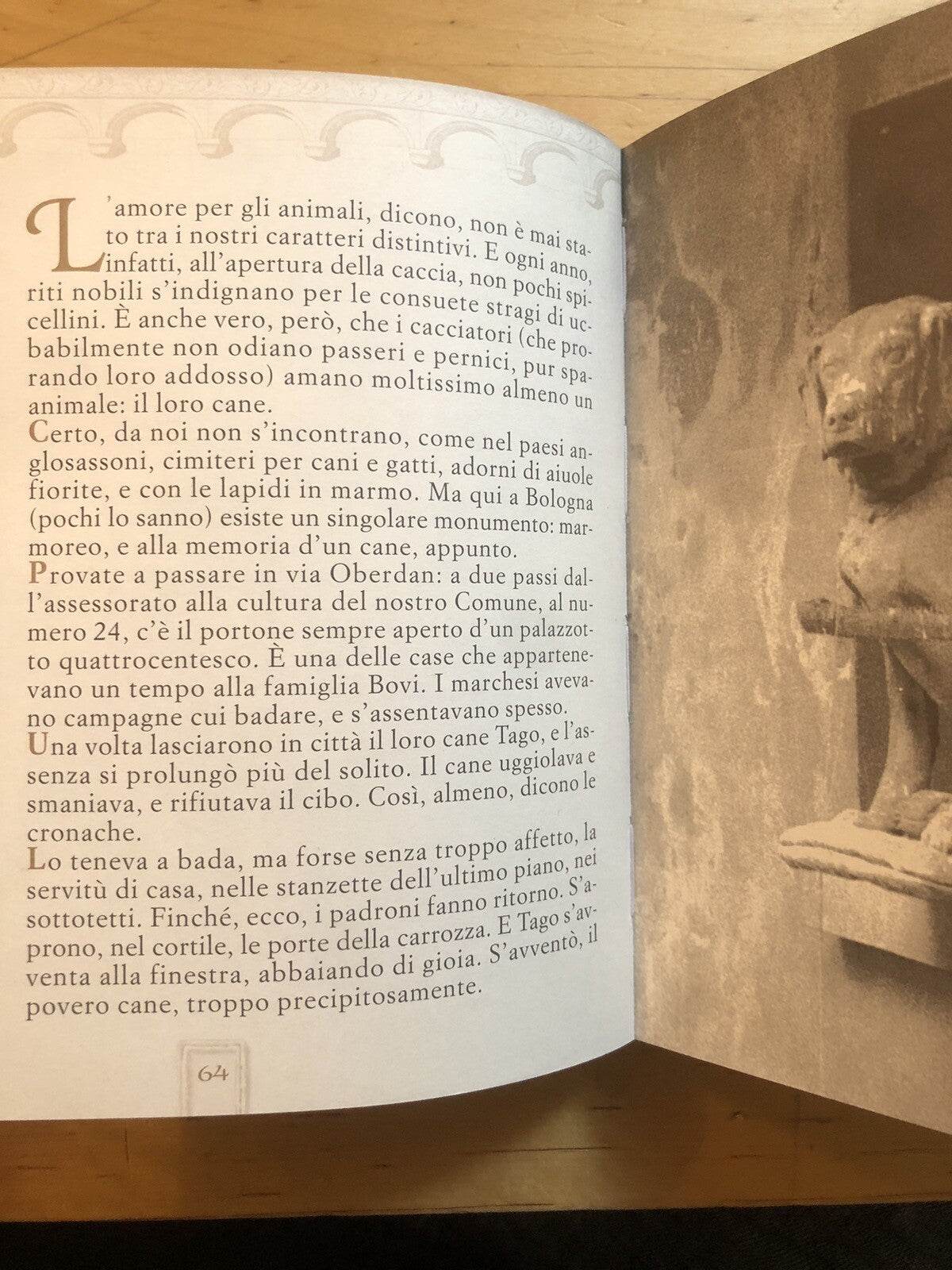 Il perditempo passeggiate per Bologna, Eugenio Riccomini - Tipoarte 2000