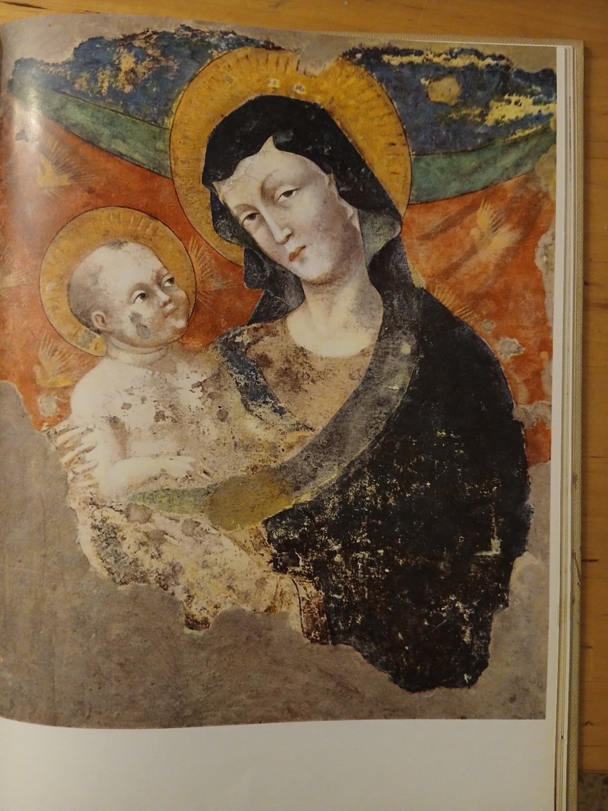 Santa Maria dei Servi in Bologna - Ferronato Paolo, Rocca - Siglaeffe ed. 1958