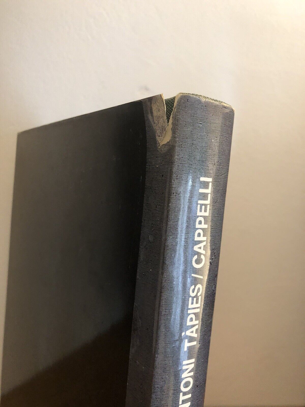 Antoni Tàpies Giuseppe Gatt, Cappelli editore 1967