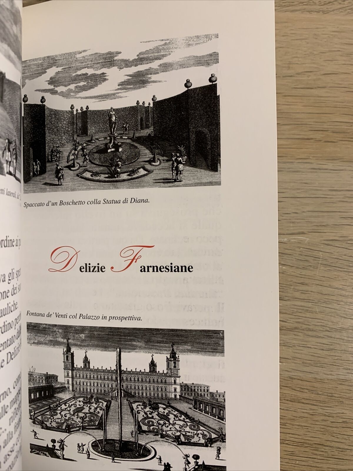 Il Giardino della Reggia Colorno. Milena Fornari, Tlc editrice 2000